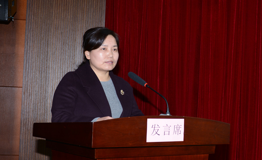 合阳县档案局局长姚转香发言.JPG