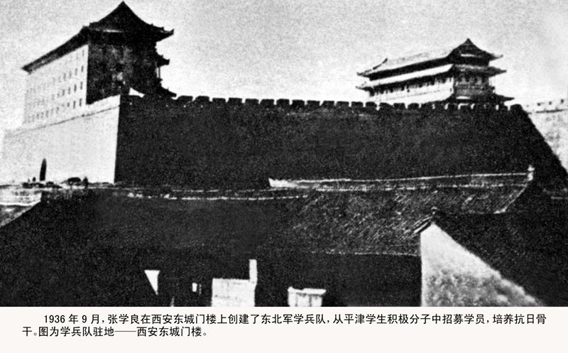 图片15.png