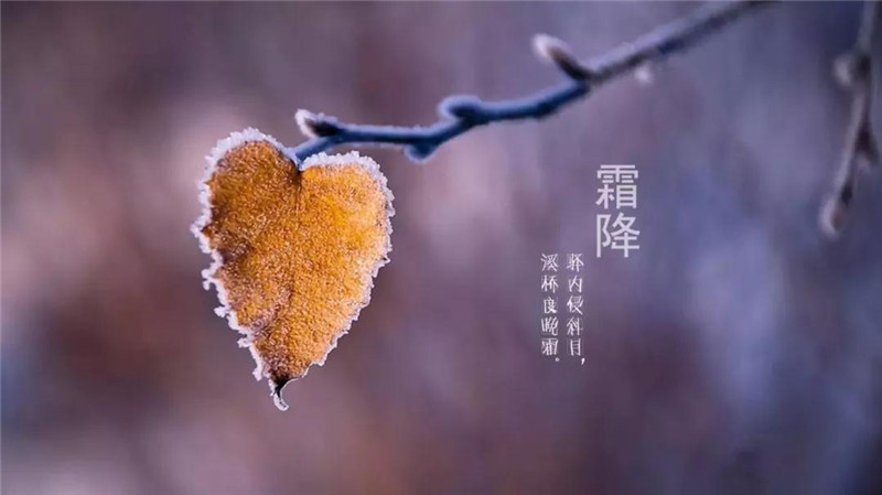 微信图片_20191028111403.jpg 微信图片_20191028111403.jpg