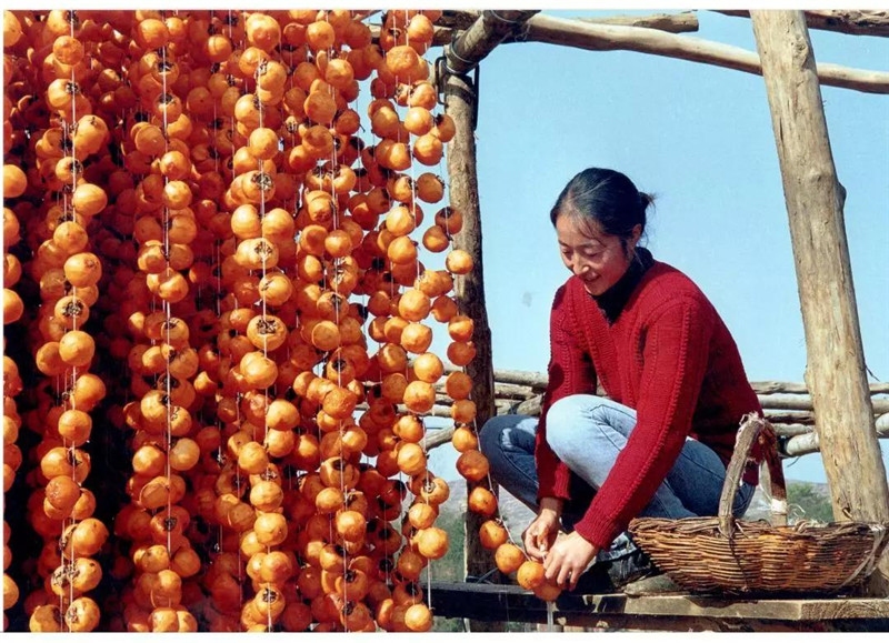 微信图片_20191028111416.jpg 微信图片_20191028111416.jpg