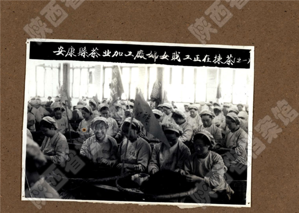 微信图片_20210419103340.png